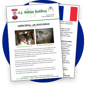 Saddle fitter Bretagne - Normandie - France